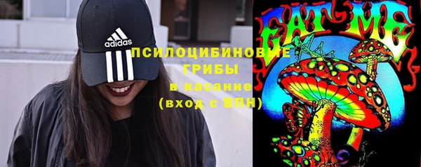 MDMA Белокуриха
