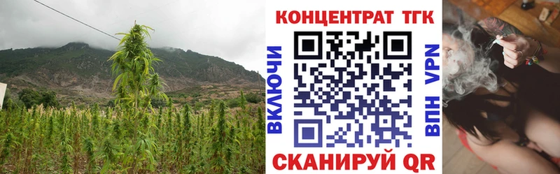 продажа наркотиков  Первомайск  ТГК жижа 